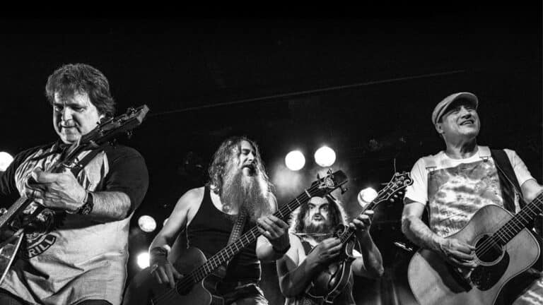 Hayseed Dixie (US)