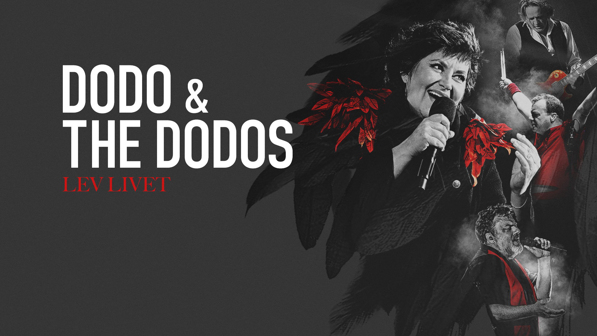 Billede af Dodo & The Dodos - "Lev Livet" - 15. oktober - Kulturværftet