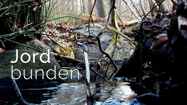 Jordbunden: Hvem skal være i centrum?