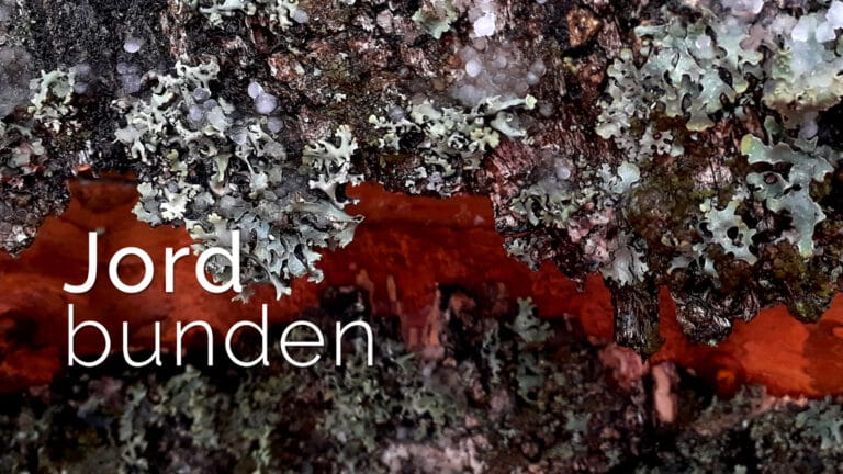 Jordbunden: Sprog og værdier