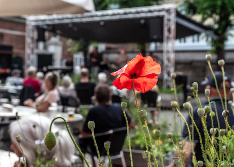 Mandagsjam – Sommer i gården