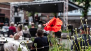 Mandagsjam i Toldkammeret