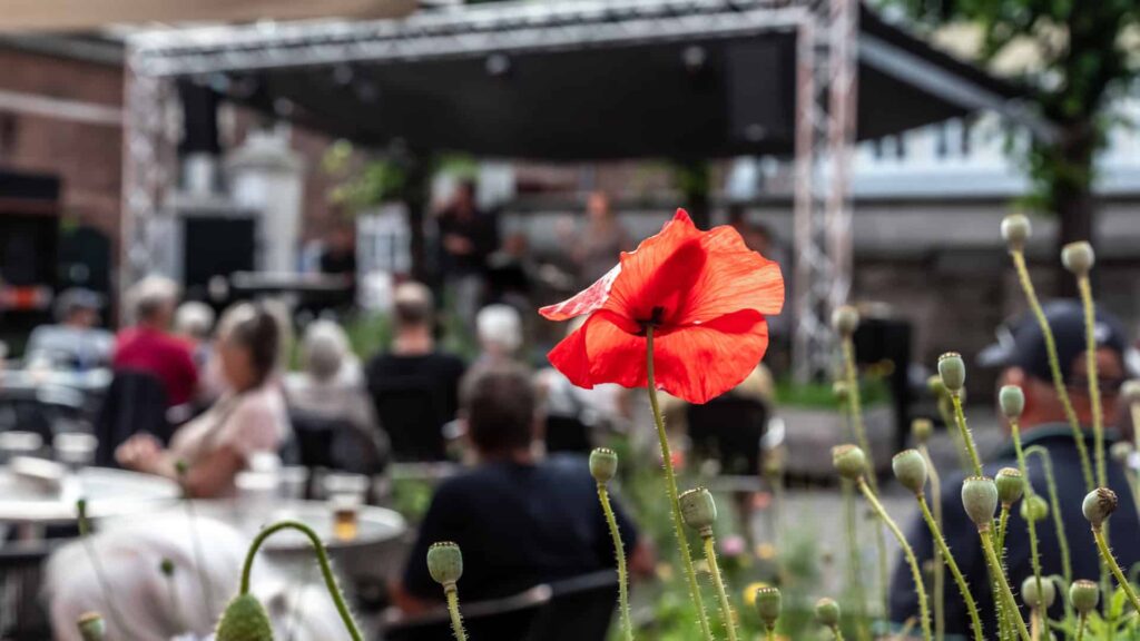 Mandagsjam i Toldkammeret