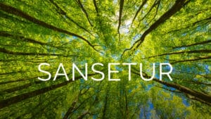 Sanseture i naturen