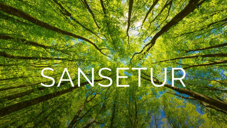 Udsolgt: Sanseture i naturen