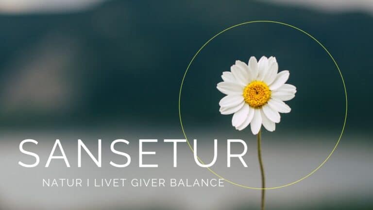 Sansetur i Naturen: Natur