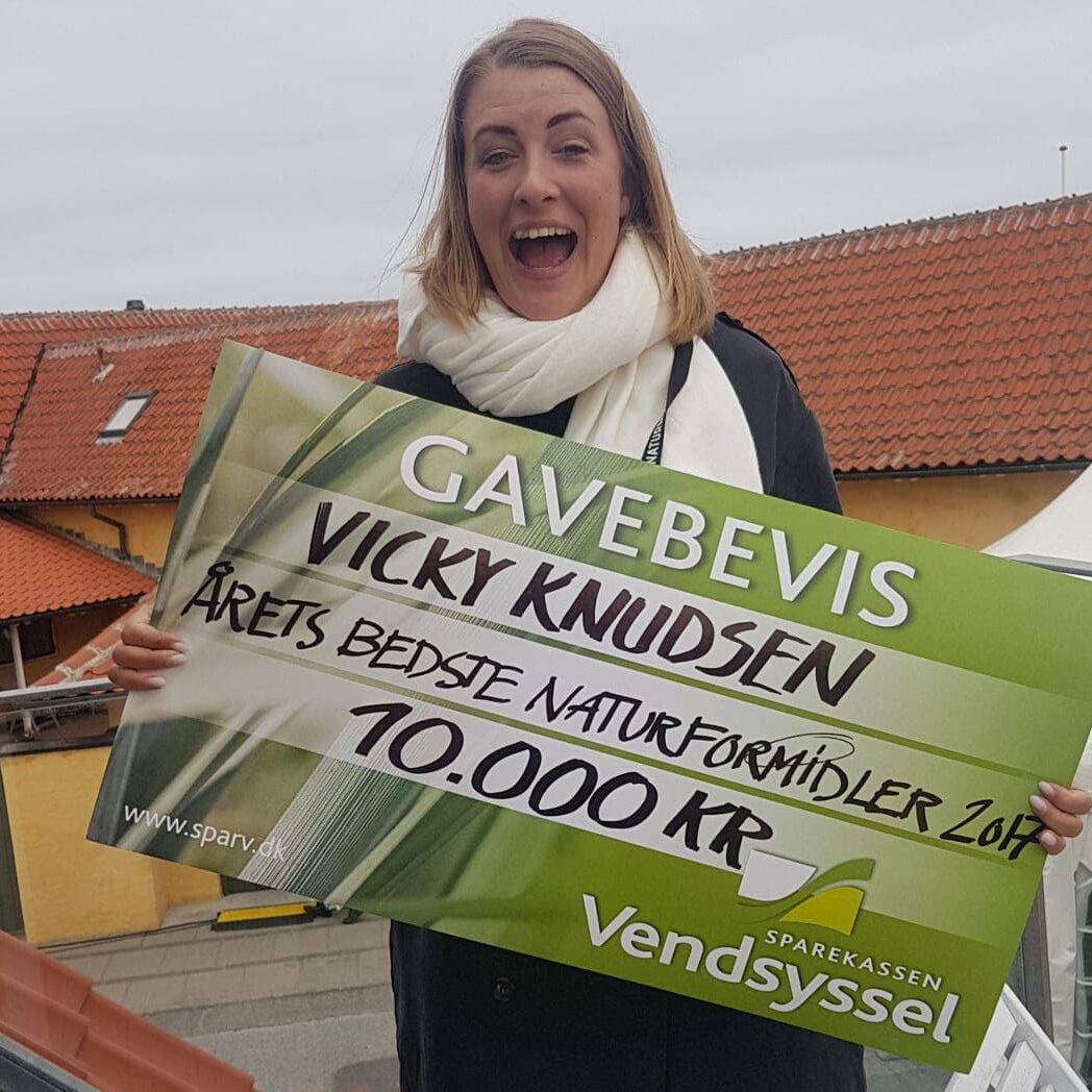 DKs bedste lille edited