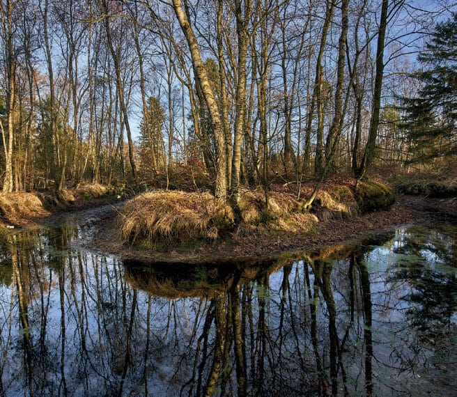 stadegn groen 7