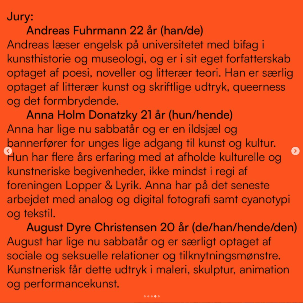 Open Call: Ansøgning til Forårsudstilling 2024 i Krydsfeltet 5 OP 4
