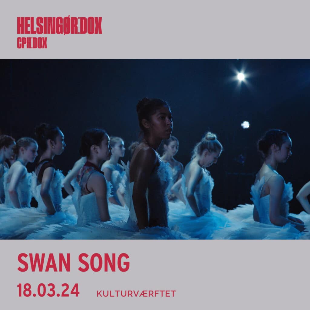 HELSINGØR:DOX : Swan Song 3 Square 1080x1080 DOX swan