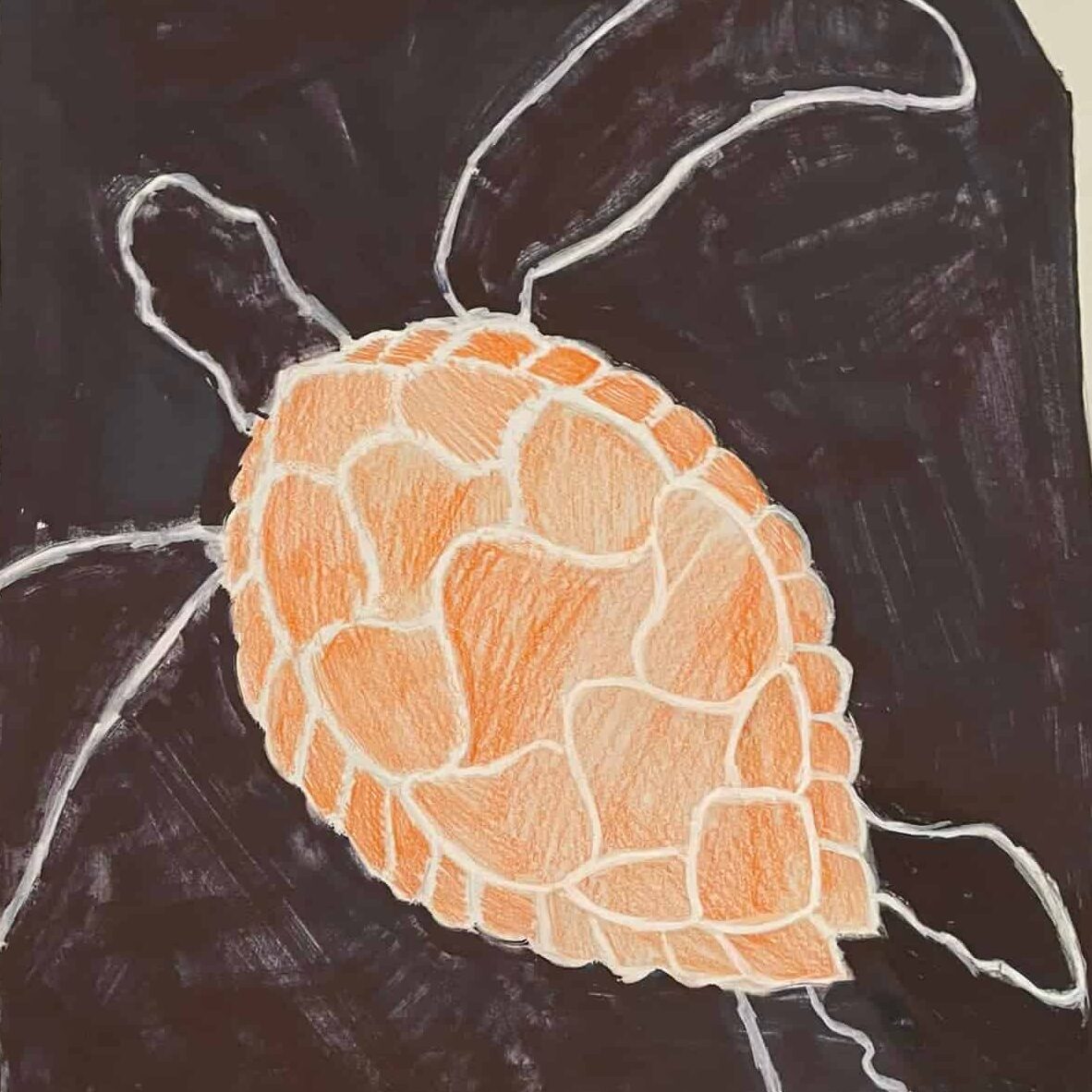 279027819 5425277377482236 3514913479423425526 n edited