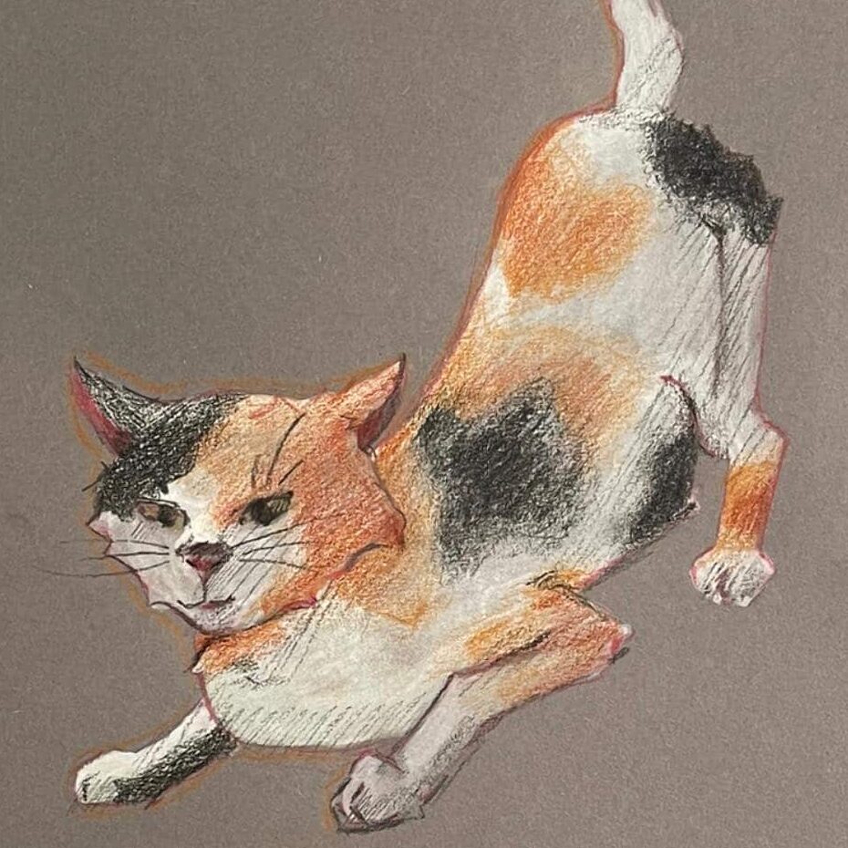 326456214 710069387441146 8033325473507131930 n edited