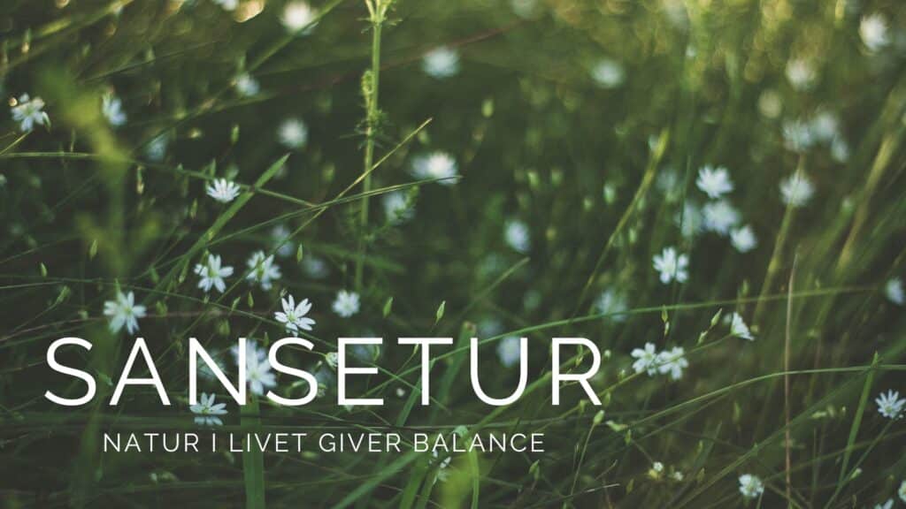 Sansetur i naturen
