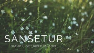 Sansetur i naturen
