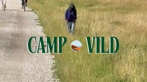 Camp Vild