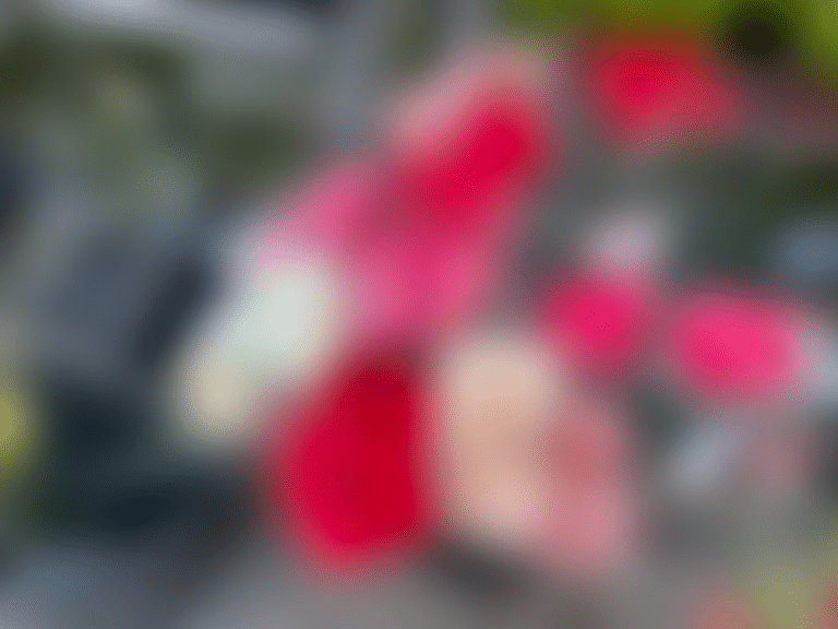 Transit – Udstilling nu