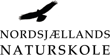 Naturskole logo sort 1