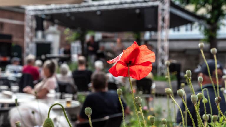 Mandagsjam – Sommer i gården
