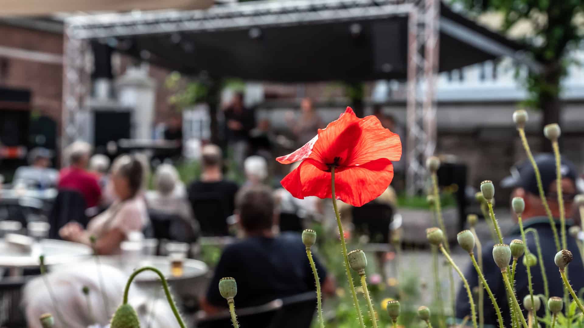 Mandagsjam – Sommer i gården