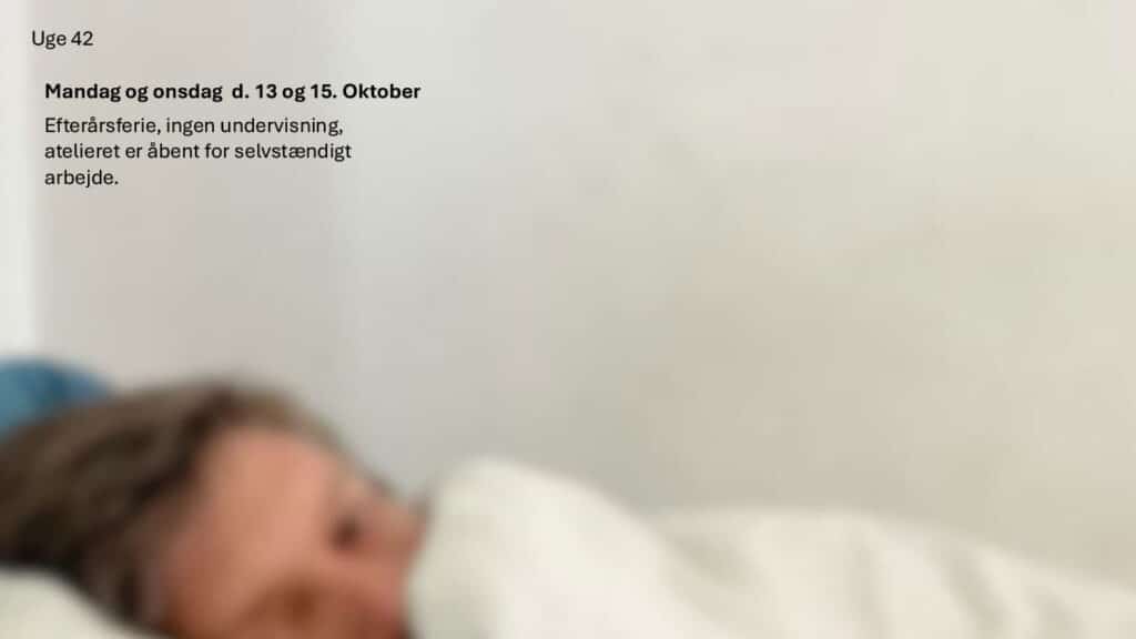 Aarshjul 25 26 VOL 1 12