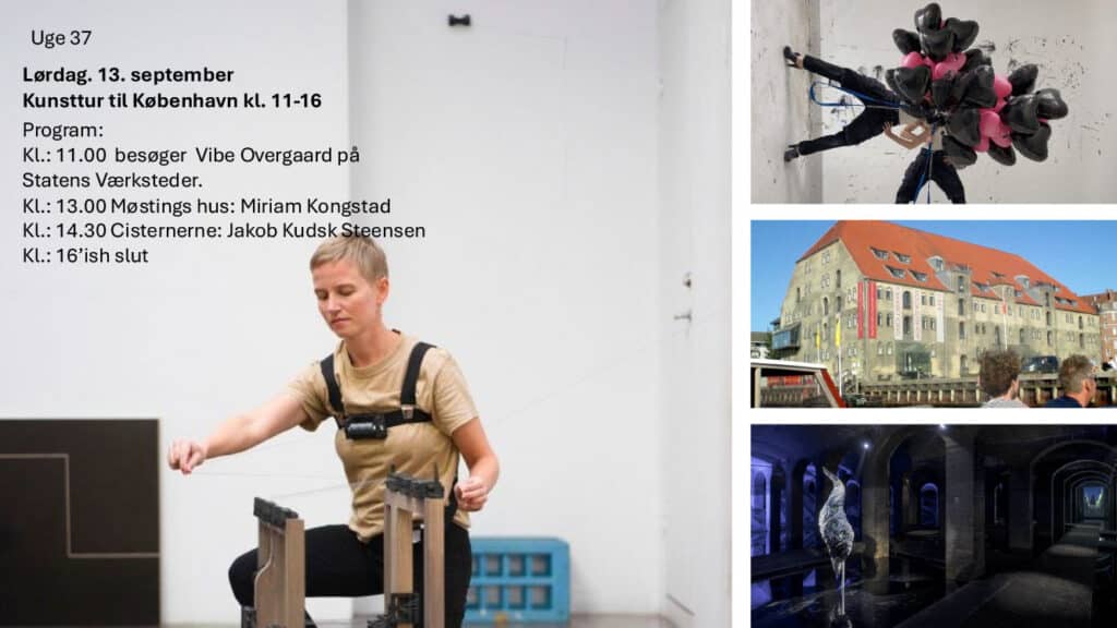 Aarshjul 25 26 VOL 1 6