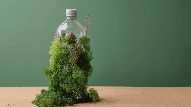 Embracing Climate Responsibility in Everyday Operations