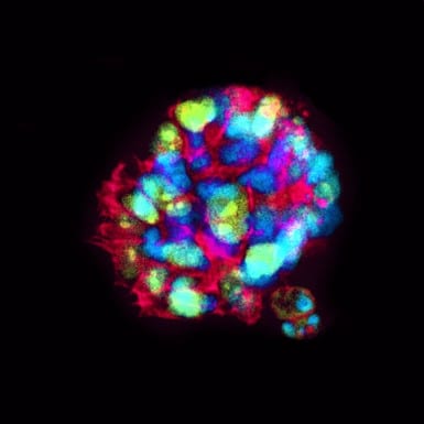 Artists in residence 2 charlotte cel