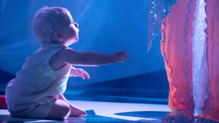 Kalenderen 141 Untz baby Untz