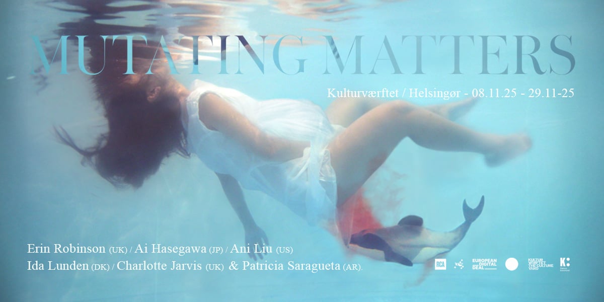 Kunst og teknologi 9 Mutating Matters