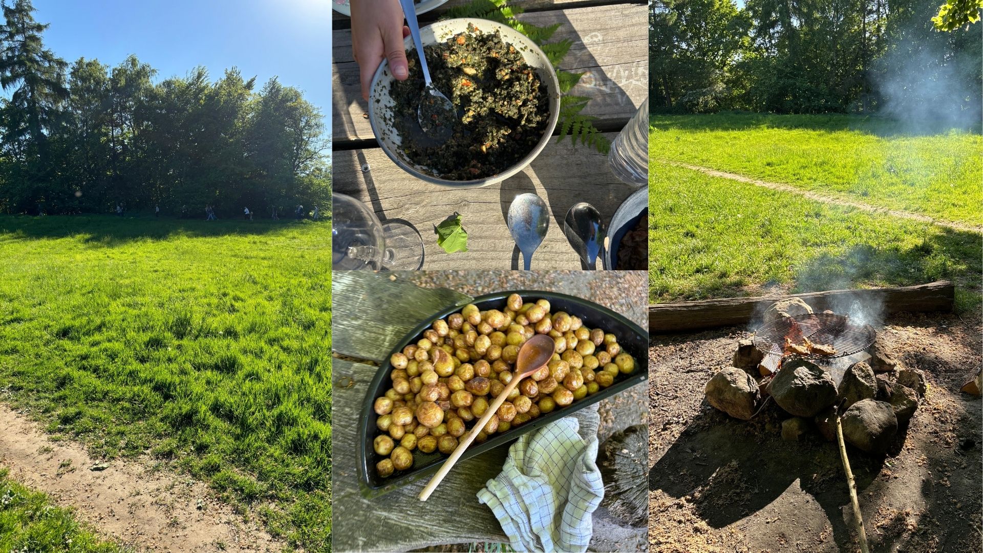 Smag på årstiden – forår