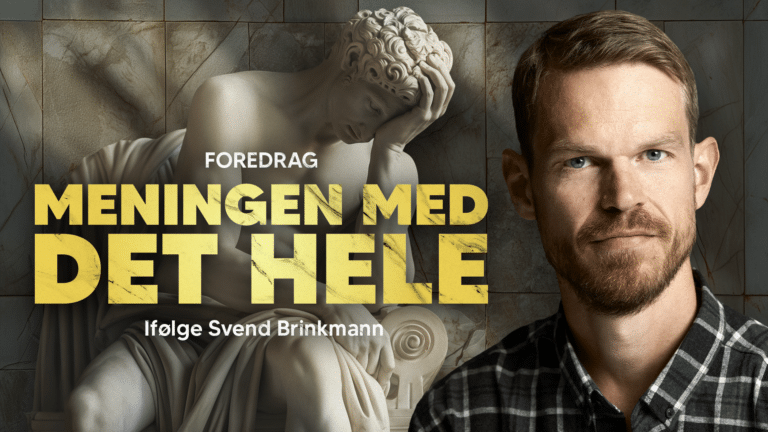 Svend Brinkmann: Meningen med det hele
