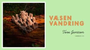 Væsen vandring – Tove Jansson i nordisk lys